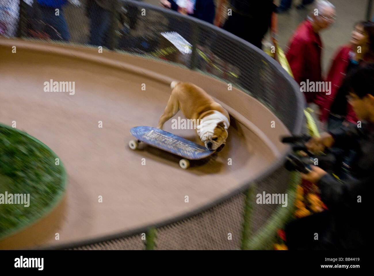 California, Pasadena. Tournament of Roses, Preparade float viewing