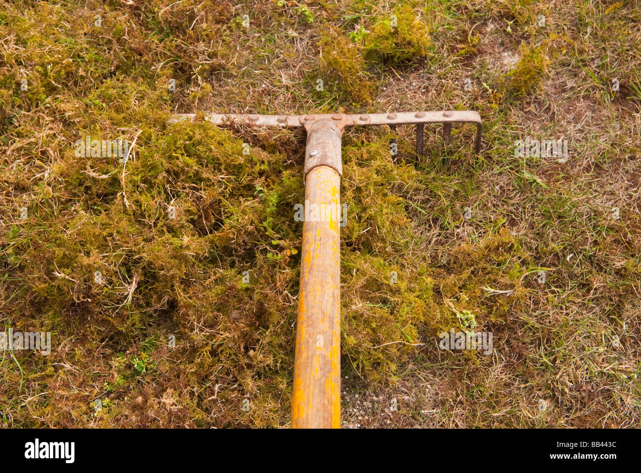 Raking lawn moss hires stock photography and images Alamy