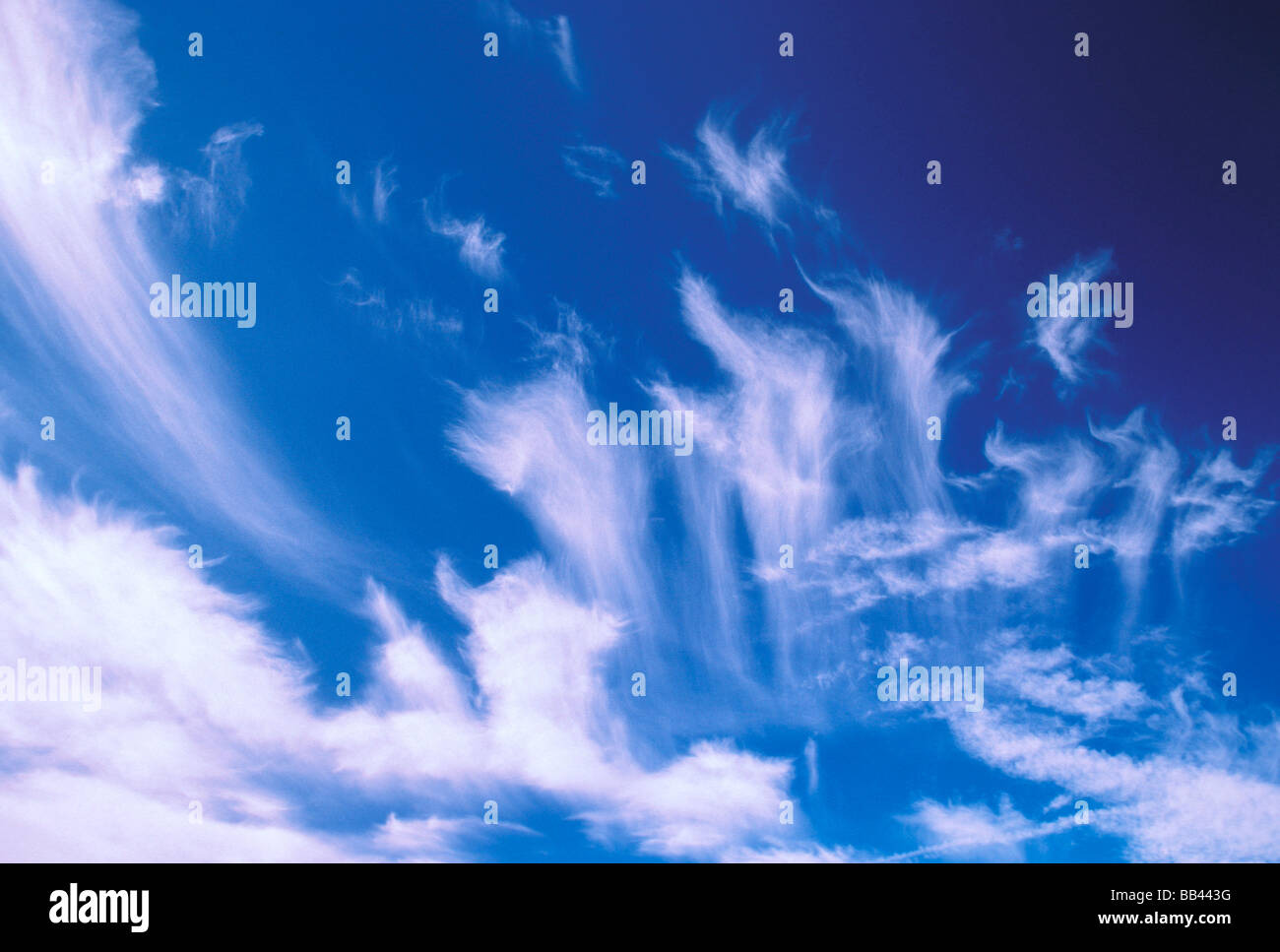 USA, Utah. Cirrus fibratus clouds with streaks caused by falling ice. Stock Photo