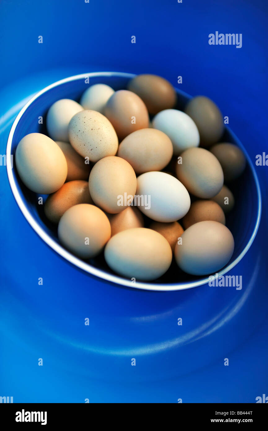 Bowl of  eggs with a blue background Stock Photo