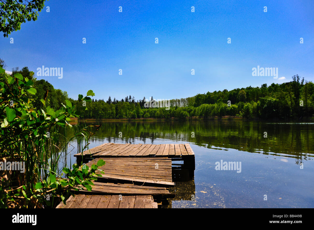 Footbridge lake on sunny hi-res stock photography and images - Alamy