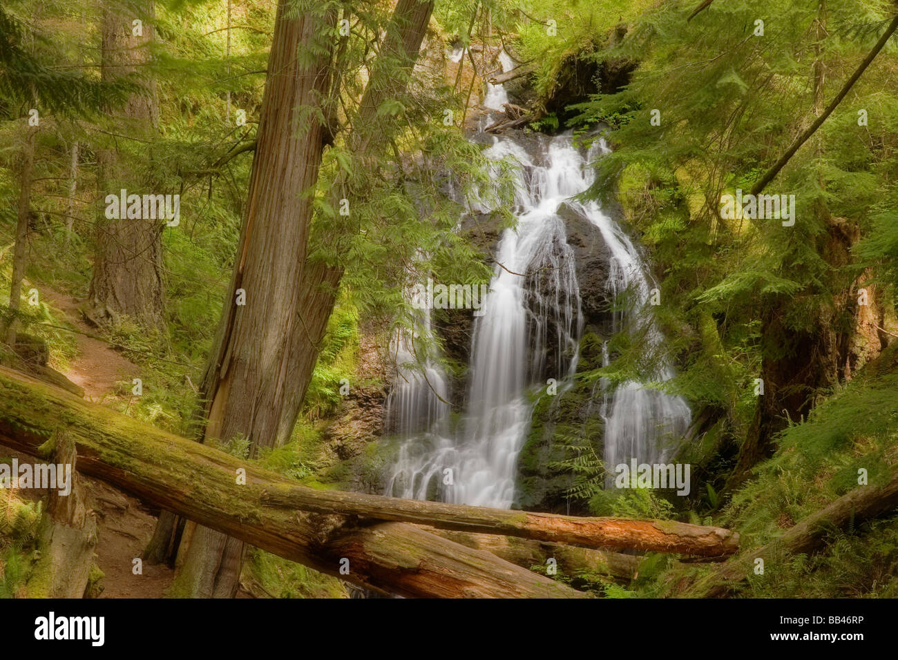 USA; Washington; Orcas Island; Moran State Park. View of Cascade Falls ...
