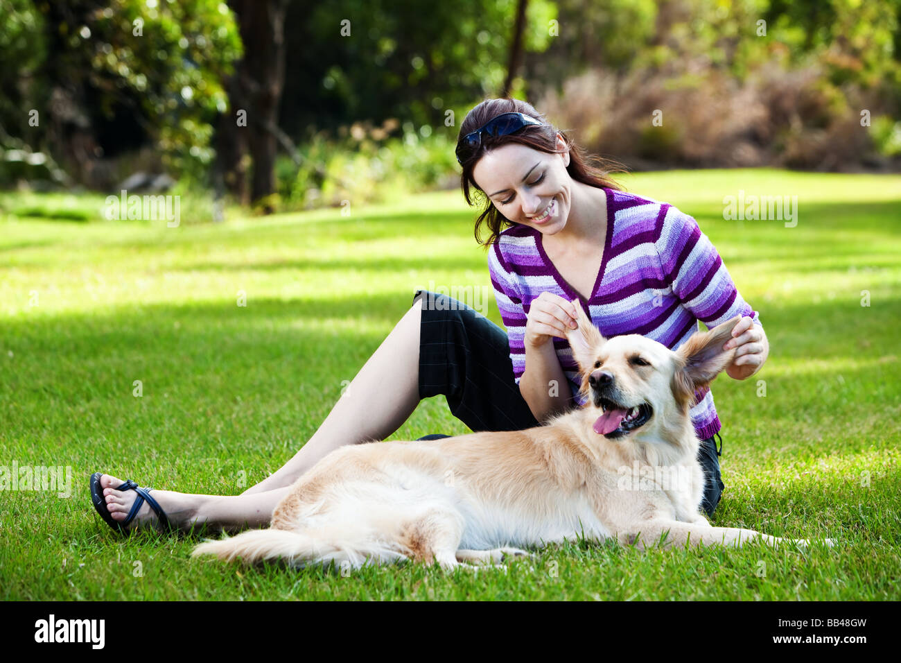 Young woman pulling ears of golden retriever in the park Stock Photo