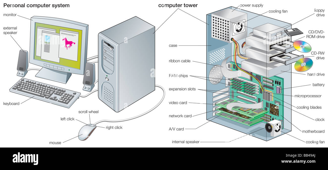 Desktop Monitor Computer Hardware Diagram High Resolution