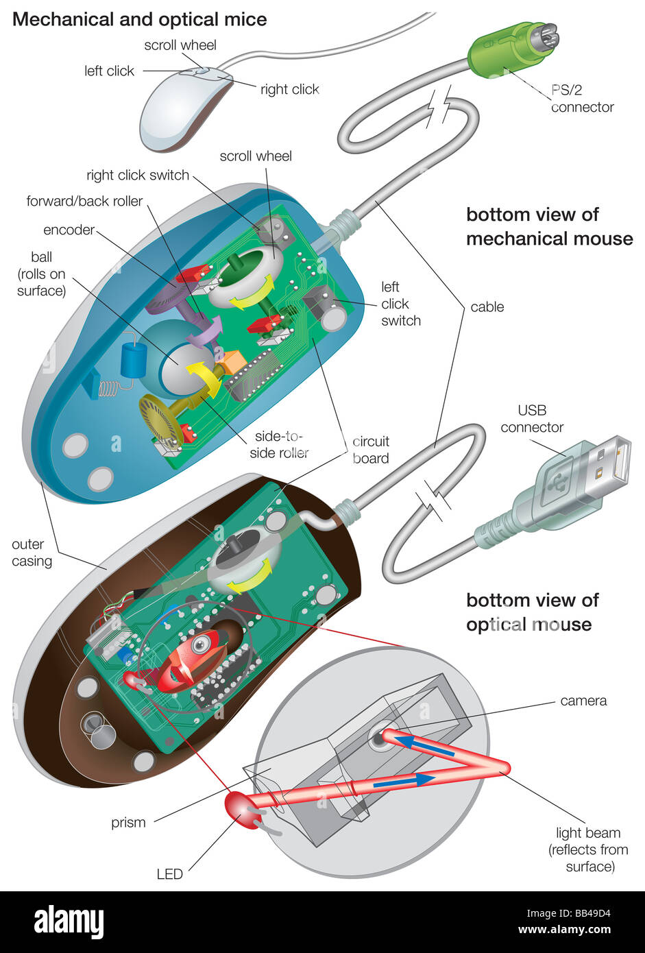 The bottom views of a mechanical and an optical mouse, detailing their  components Stock Photo - Alamy