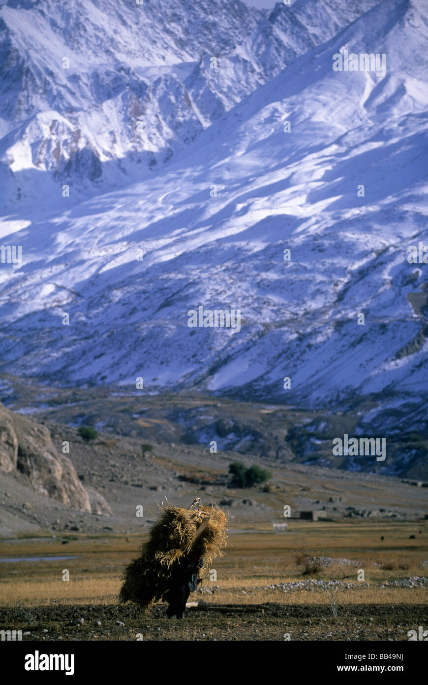 A man carries a load of hay outside of the village of Gaz Khan and below snow covered peaks in the Wakhan Corridor. Stock Photo