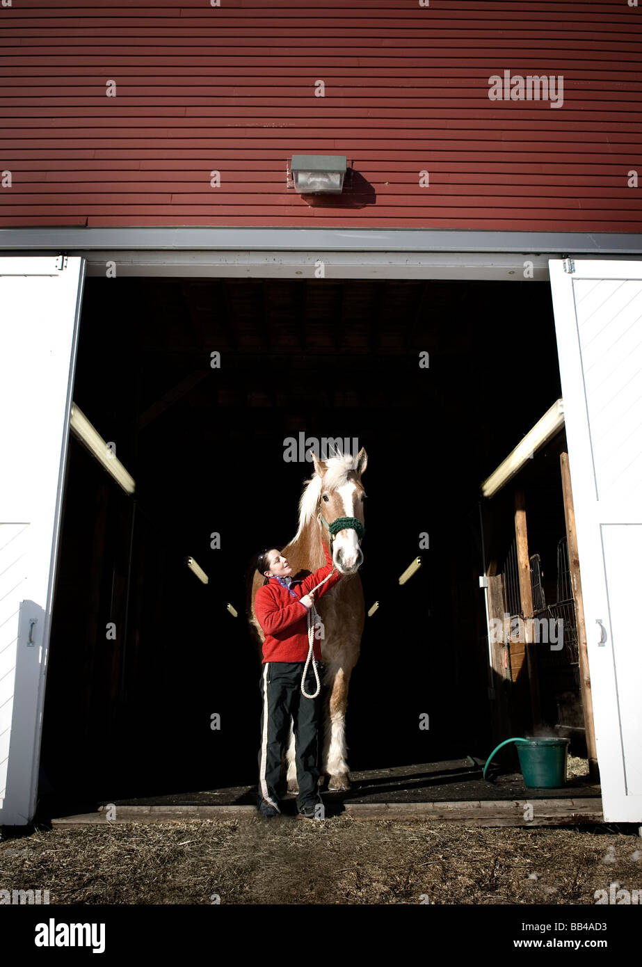 Woman standing with horse in barn, Maine Stock Photo Alamy