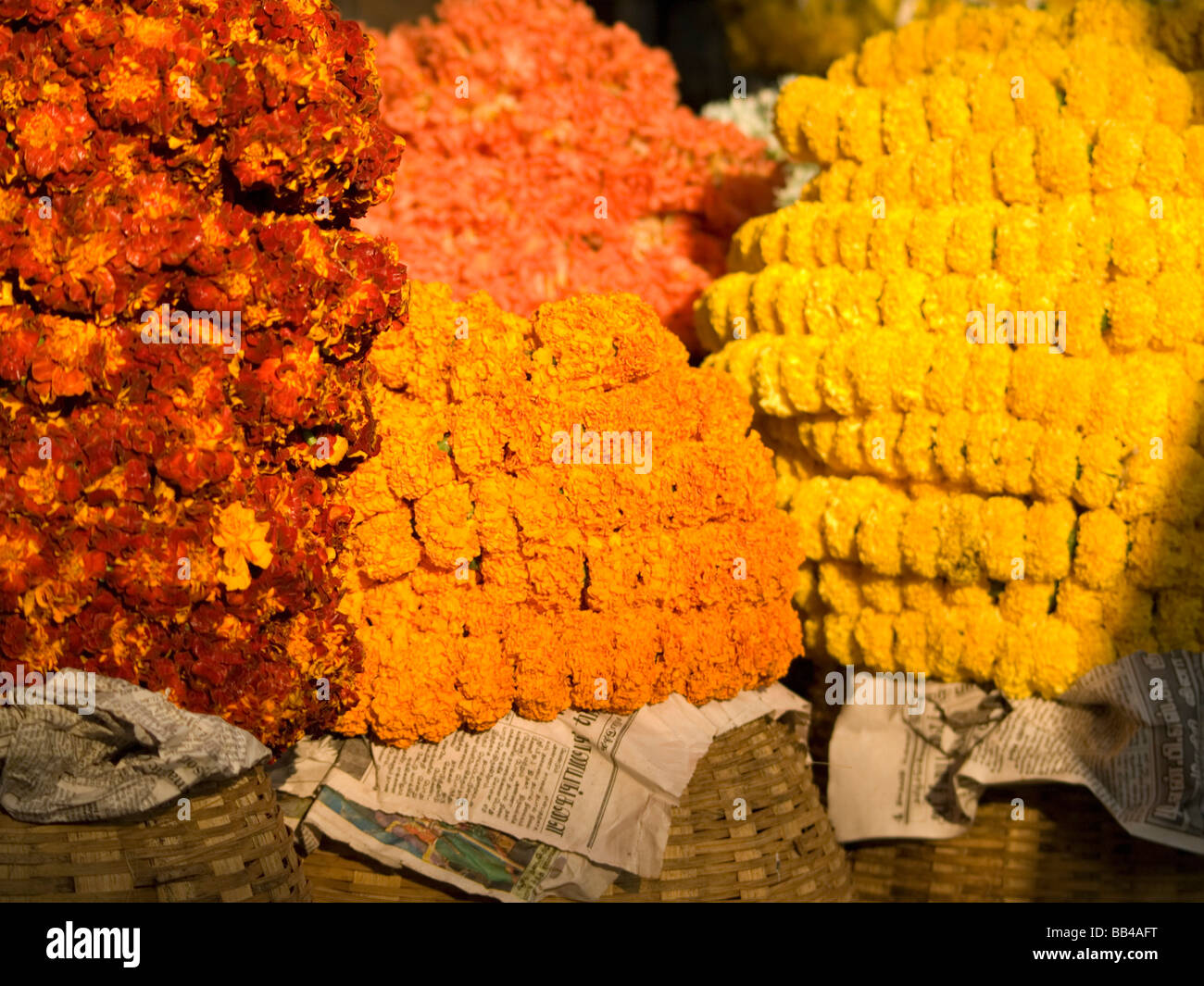 Flower vendor's plants at a market in Bangalore, Karnataka, India Stock