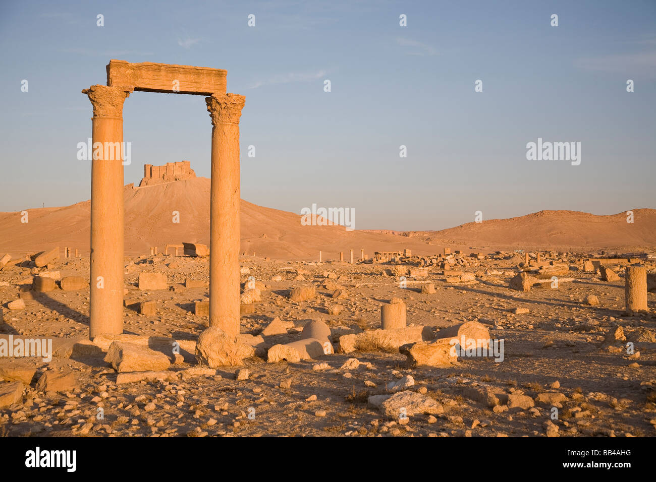 Roman ruins in the desert oasis of Palmyra, Syria Stock Photo Alamy