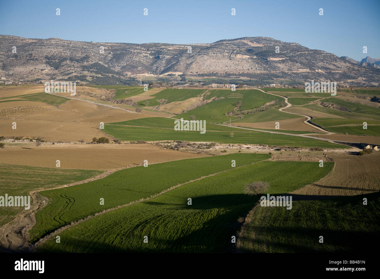 Farmland in Central Turkey Stock Photo Alamy