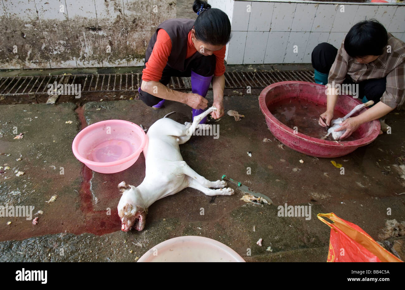 Dog meat for sale in Longnan. Stock Photo