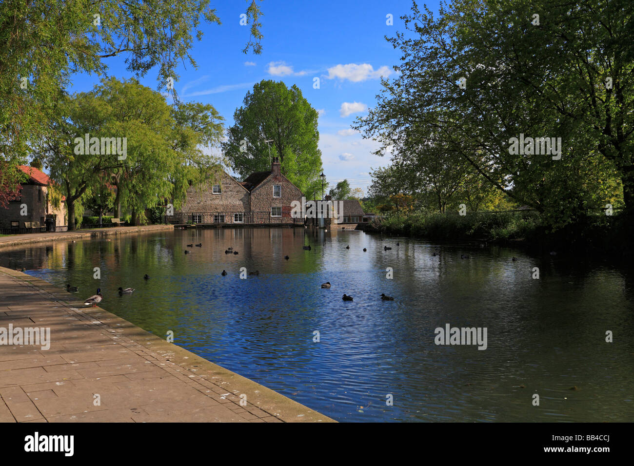 Mill Dam at Tickhill, Doncaster, South Yorkshire, England, UK Stock Photo Alamy