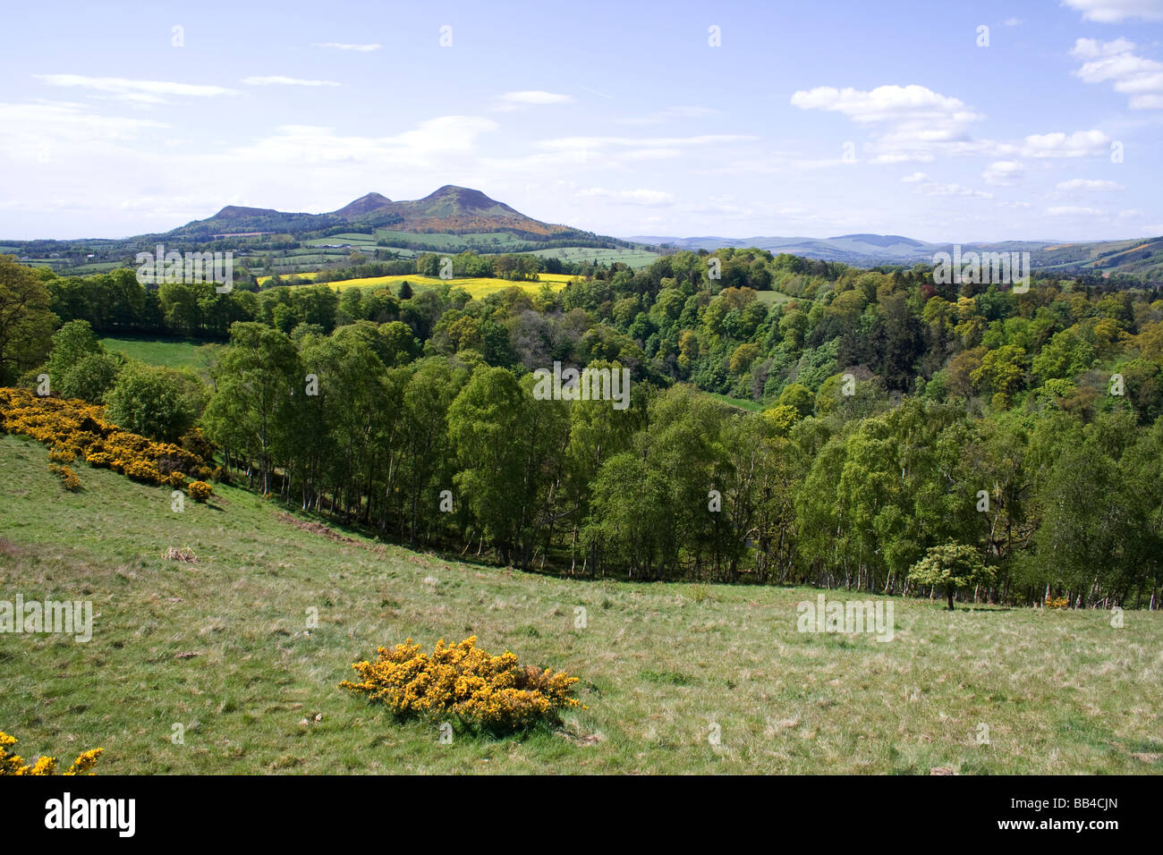 Sir walter scotts hi-res stock photography and images - Alamy