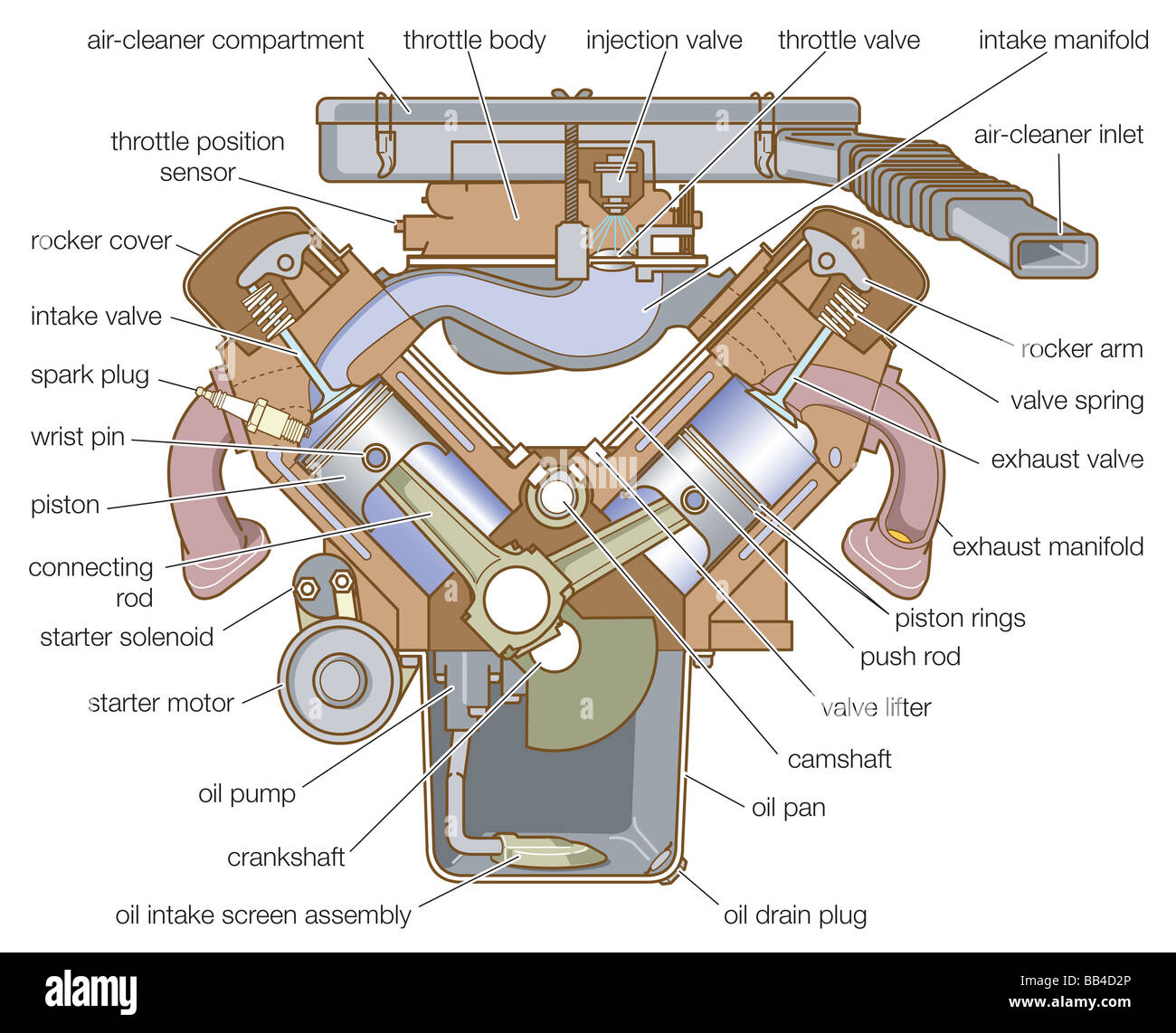 Cross section of a V-type engine. Stock Photo
