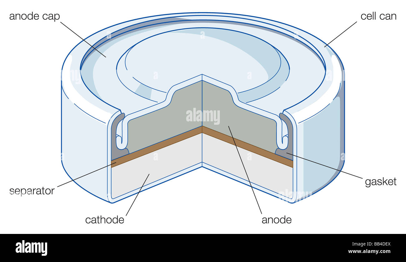 Cutaway view of a typical construction of a miniature power cell, as in a zinc-silver oxide or zinc-mercuric oxide system. Stock Photo