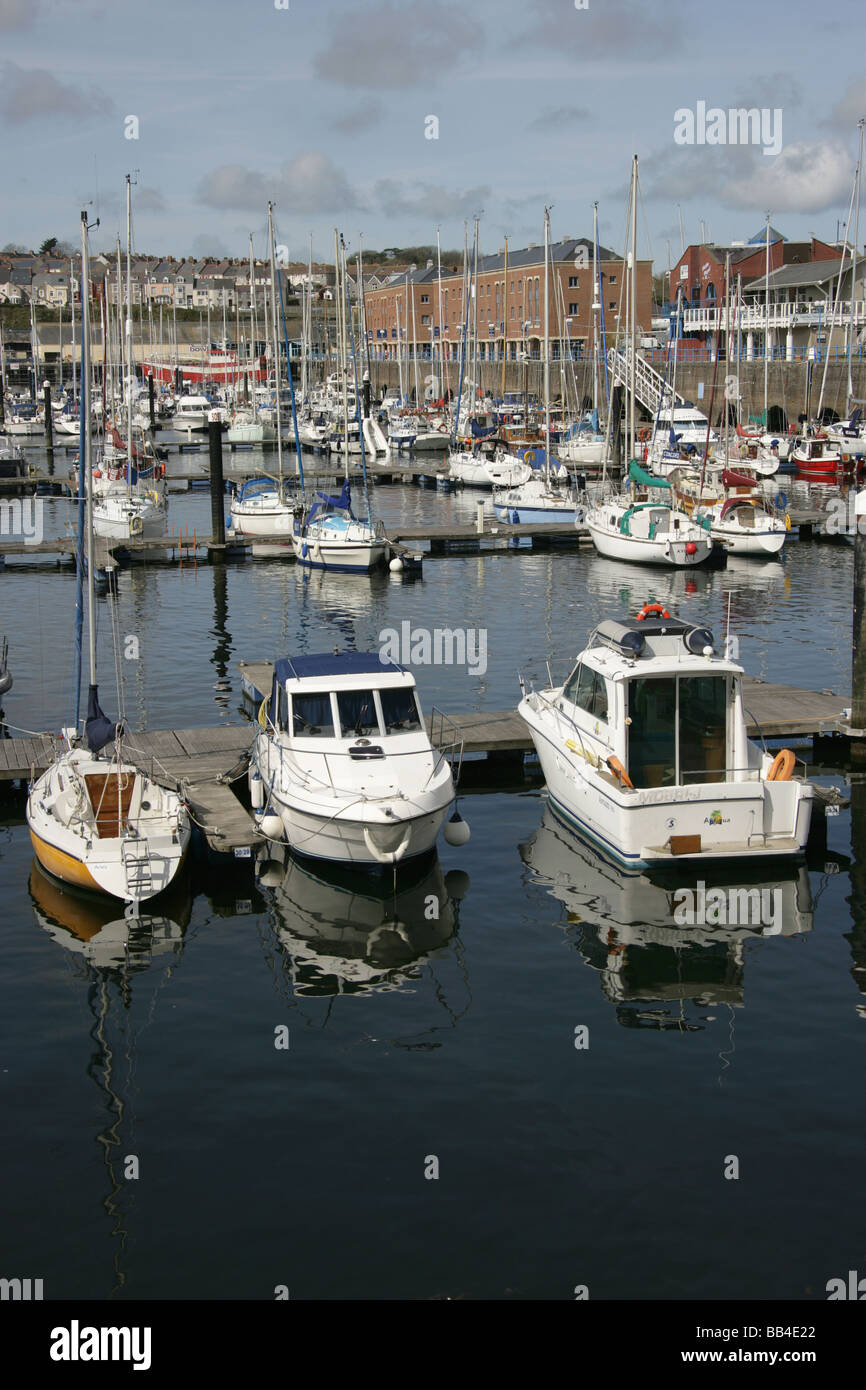 Town of Milford Haven, Wales. Leisure craft berthed at the Milford Haven Port Authority Nelson Quay Marina. Stock Photo