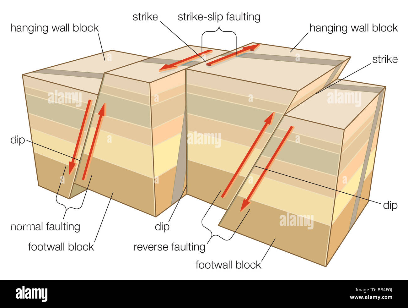 What Does Fault Mean In Earthquakes At Thomas Hernandez Blog