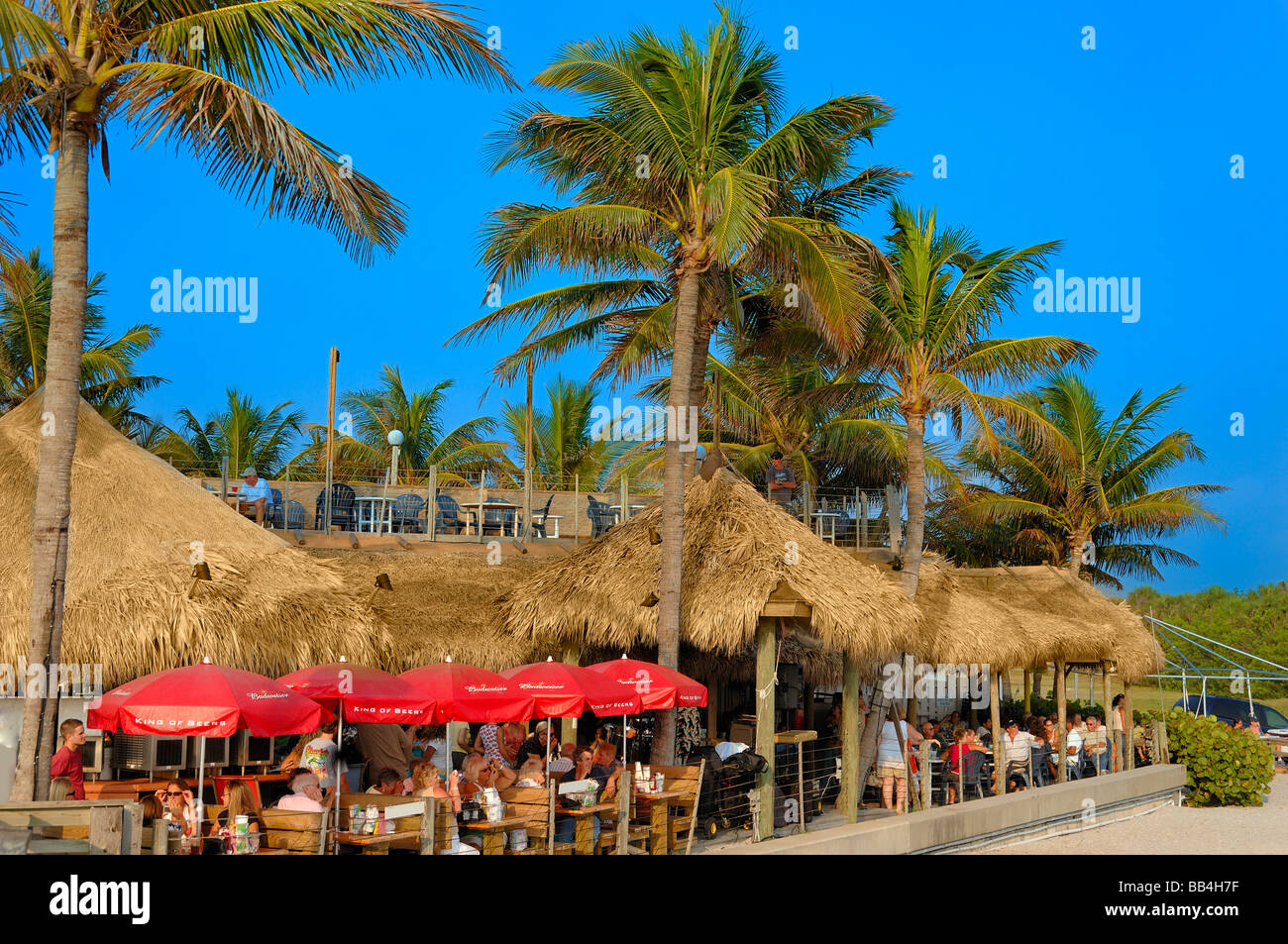 beach bar in venice, florida, usa Stock Photo Alamy
