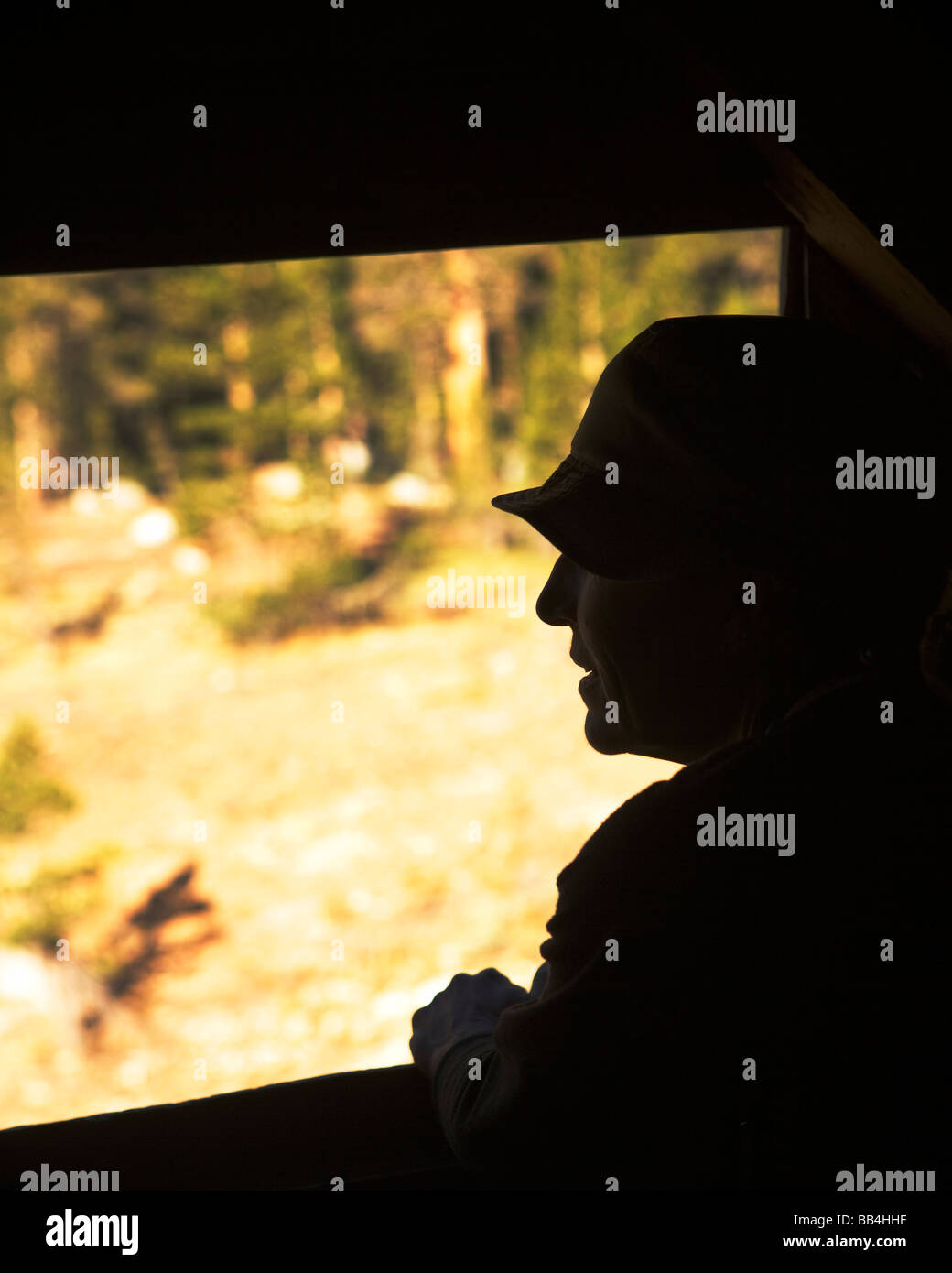 Side view silhouette, profile, portrait of a person in a open window. Stock Photo