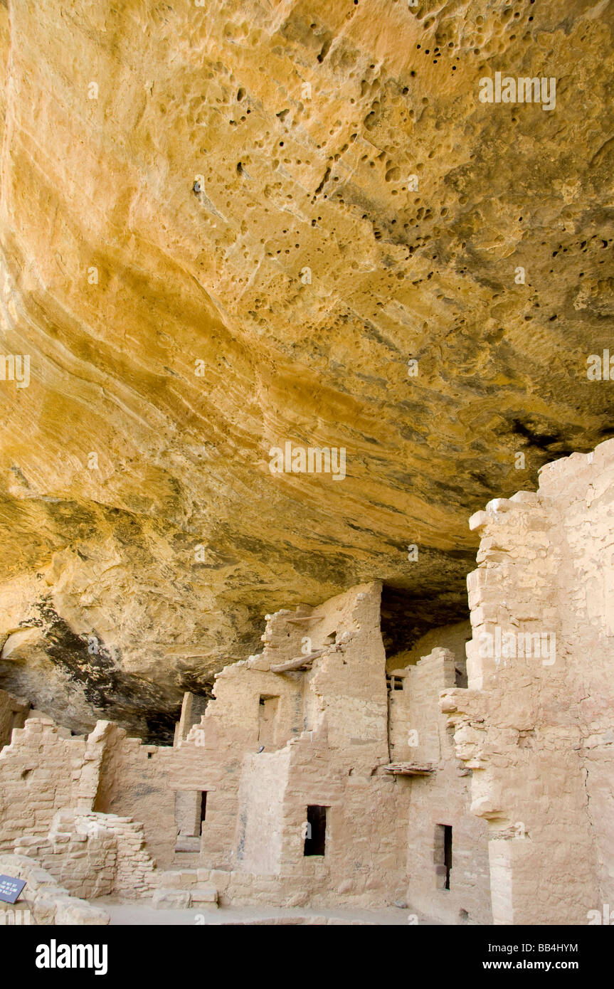 Colorado, Mesa Verde National Park. Spruce Tree House ruins Stock Photo ...