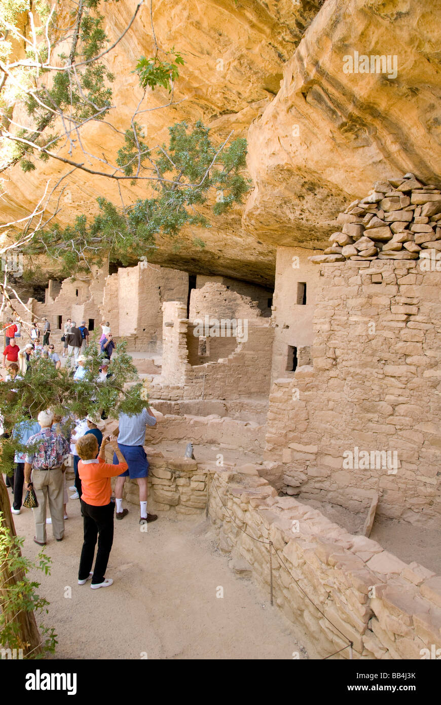 Colorado, Mesa Verde National Park. Spruce Tree House ruins Stock Photo ...