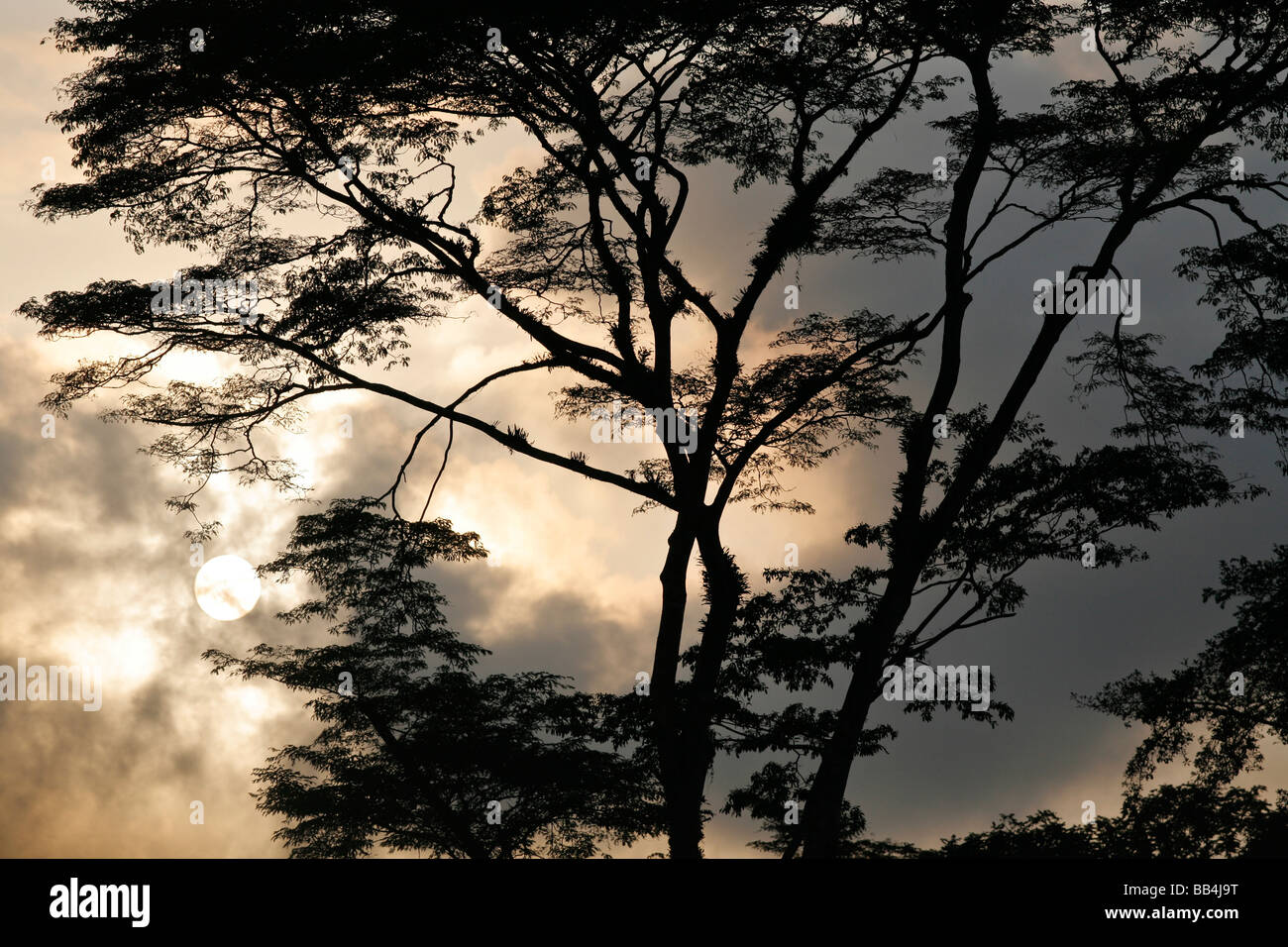 Sapo National Park Stock Photo