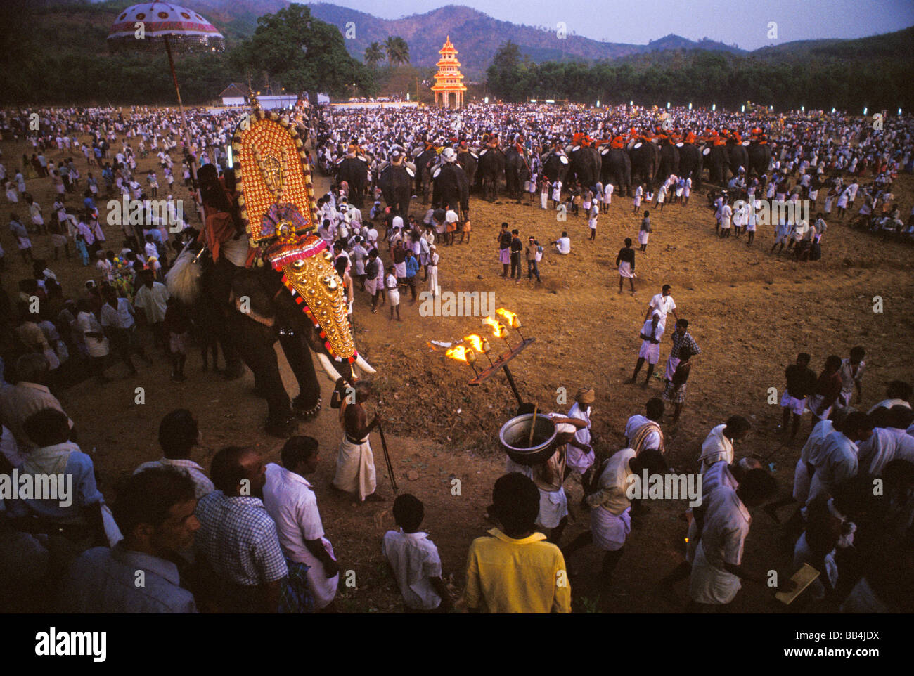 Elephant culture of India Stock Photo - Alamy