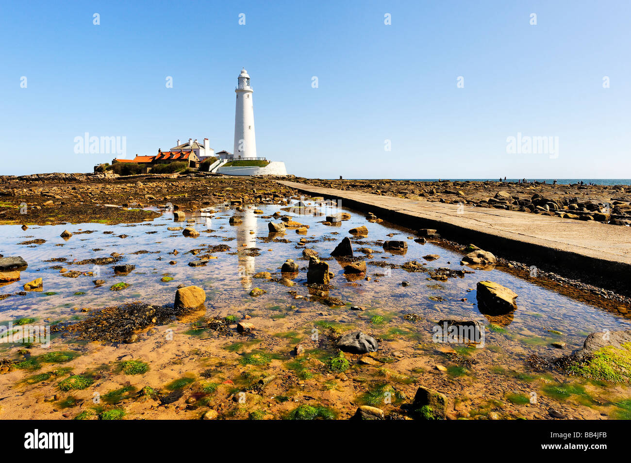 St Mary's Island and lighthouse viewed from the shoreline Stock Photo