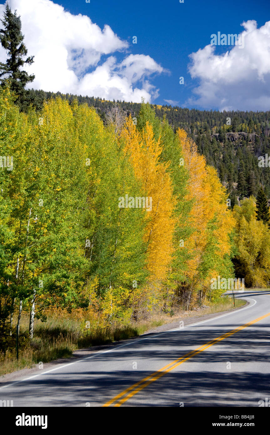 Colorado, Wolf Creek Pass Stock Photo Alamy