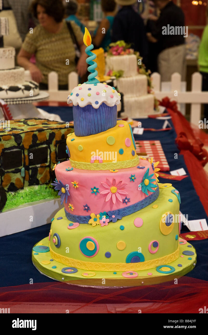 Florida Strawberry Festival Plant City Florida Cake baking contest