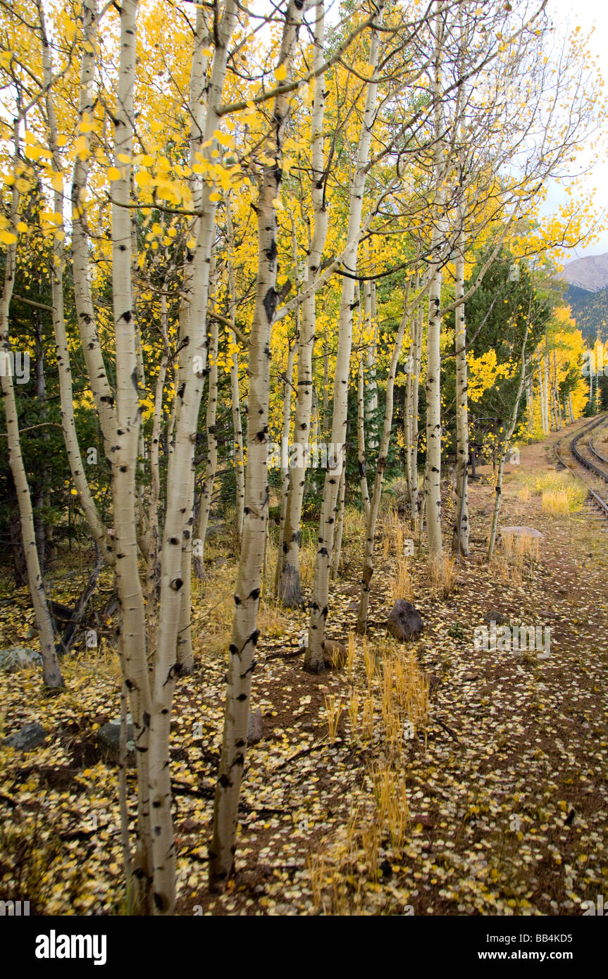 Colorado, Colorado Springs, Manitou Springs. Pikes Peak Cog Railway ...