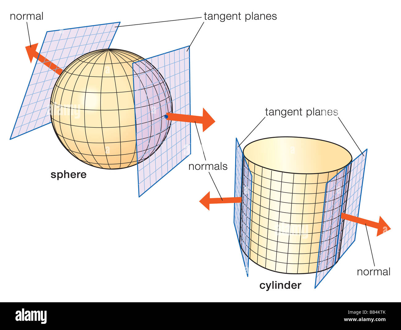 The normal, or perpendicular, at each point of a surface defines the corresponding tangent plane, and vice versa. Stock Photo