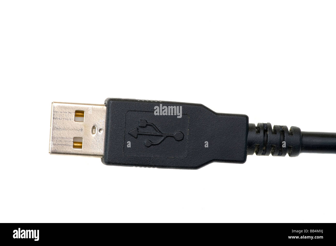 USB Plug Connector usbs plugs connectors Stock Photo