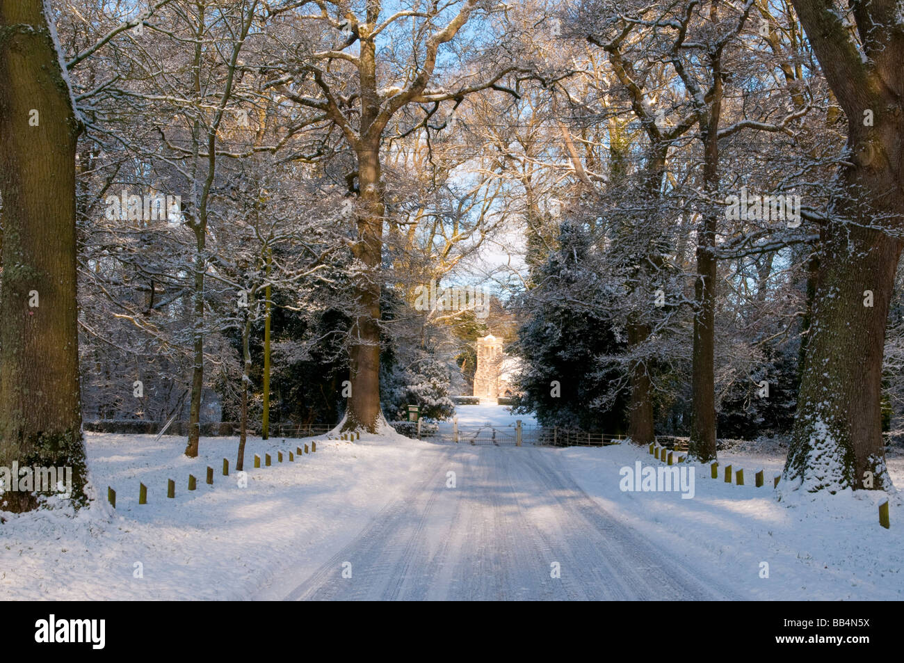 Snowy scene, Pamphill, Wimborne, Dorset, UK Stock Photo Alamy