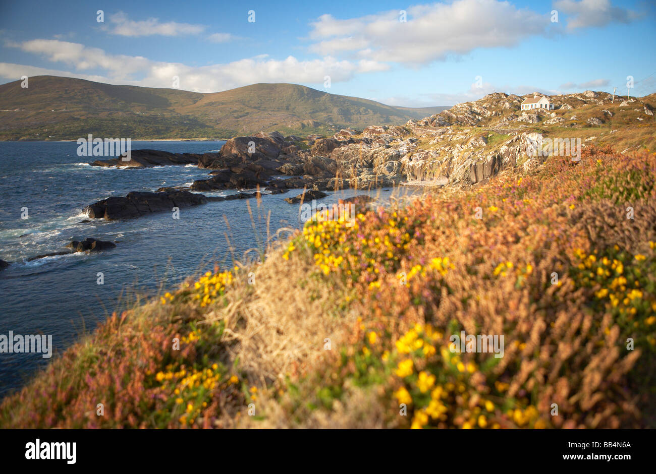 IRELAND RING OF KERRY CAHERDANIEL LAMBS HEAD Stock Photo Alamy