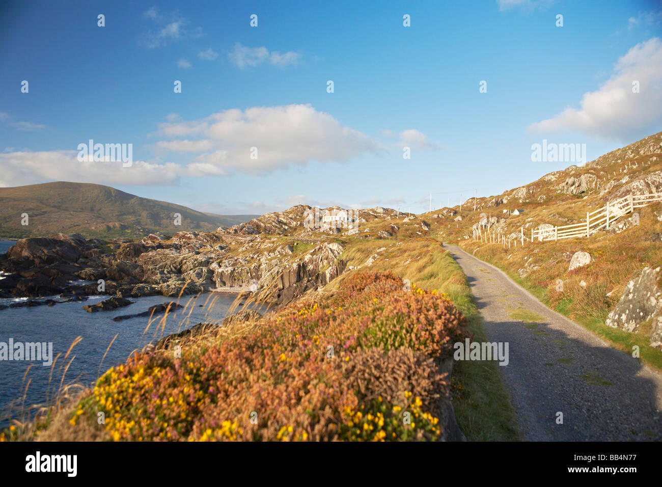 IRELAND RING OF KERRY CAHERDANIEL LAMBS HEAD Stock Photo Alamy