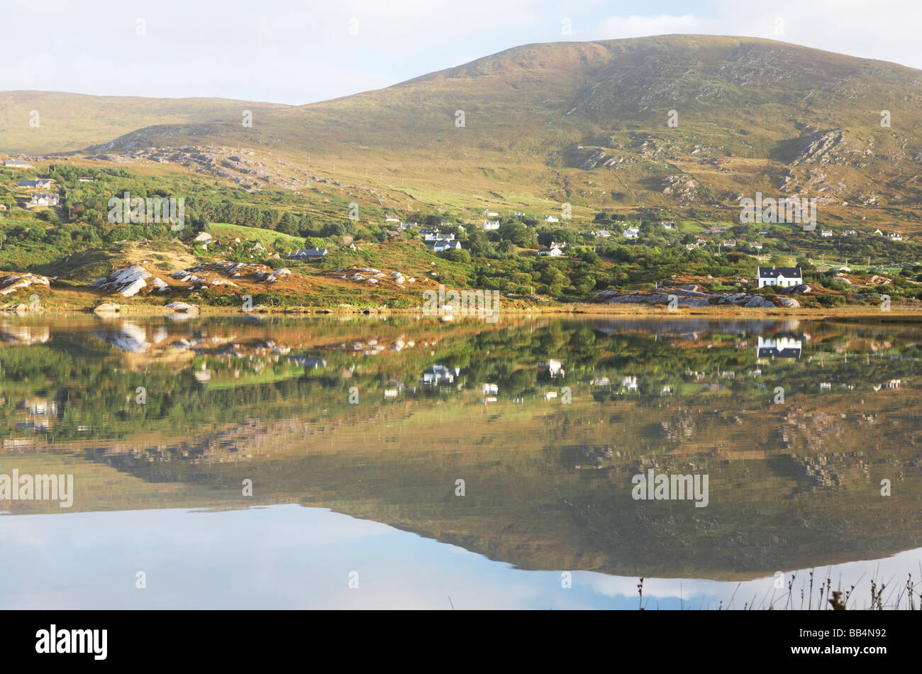 Lambs head hires stock photography and images Alamy