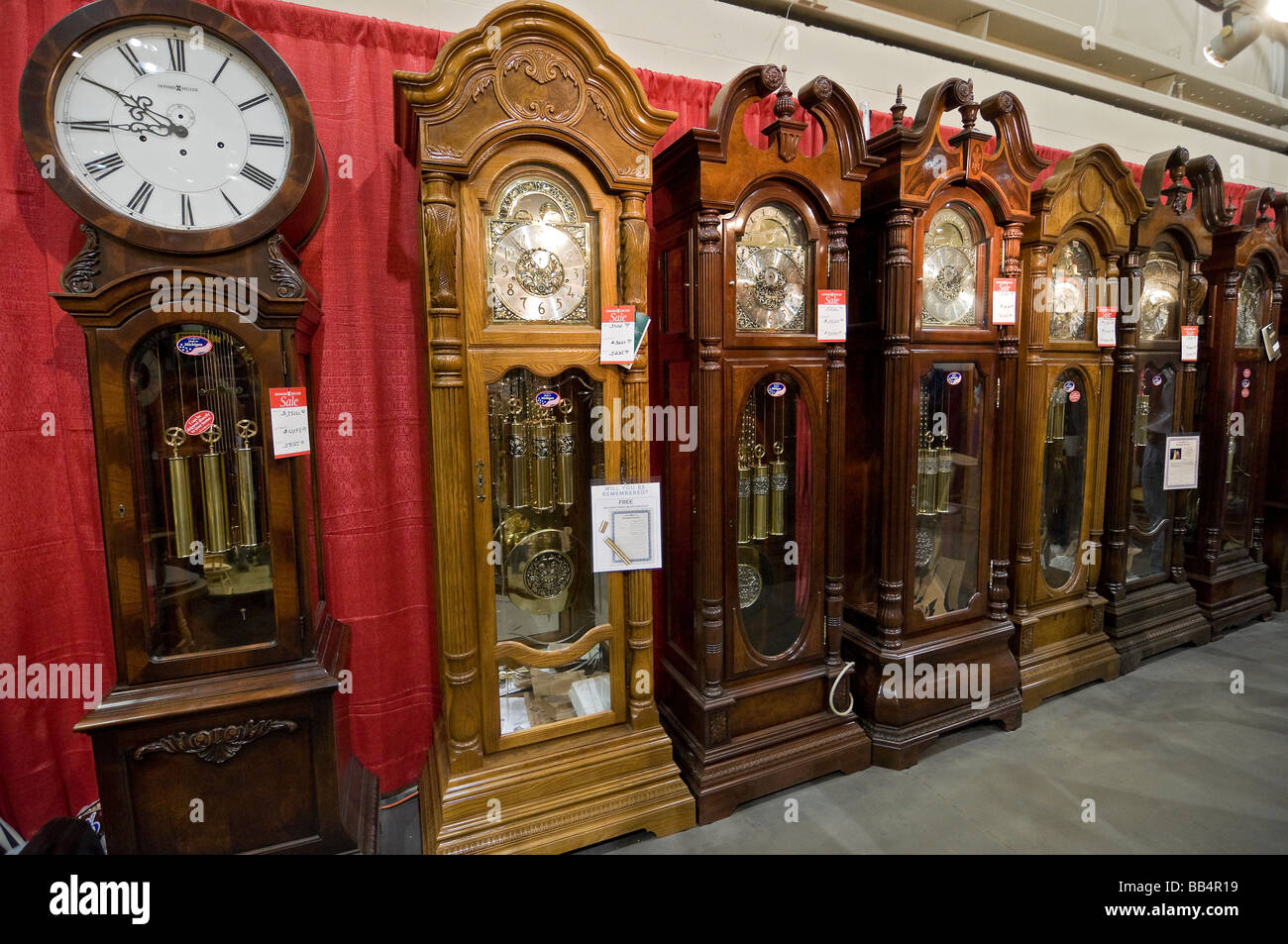 Florida Strawberry Festival Plant City Florida Large upright