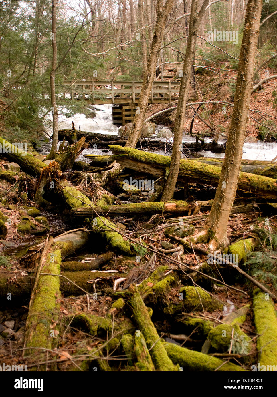 Foot Bridge over the Madawaska River Algonqin Park Ontario Canada Stock Photo