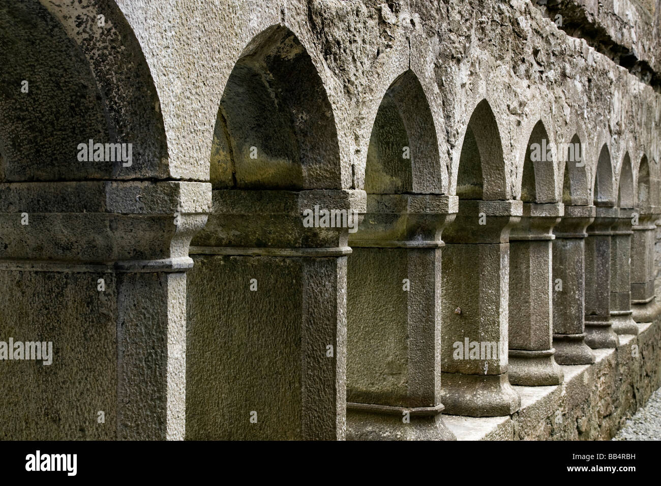 Europe, Ireland, Galway. Stone arches and columns inside the ruins of