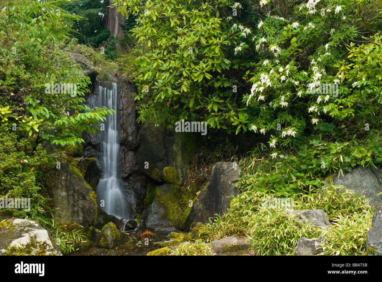 USA, WA, Seattle. The Mountainside area of Kubota Gardens Stock Photo