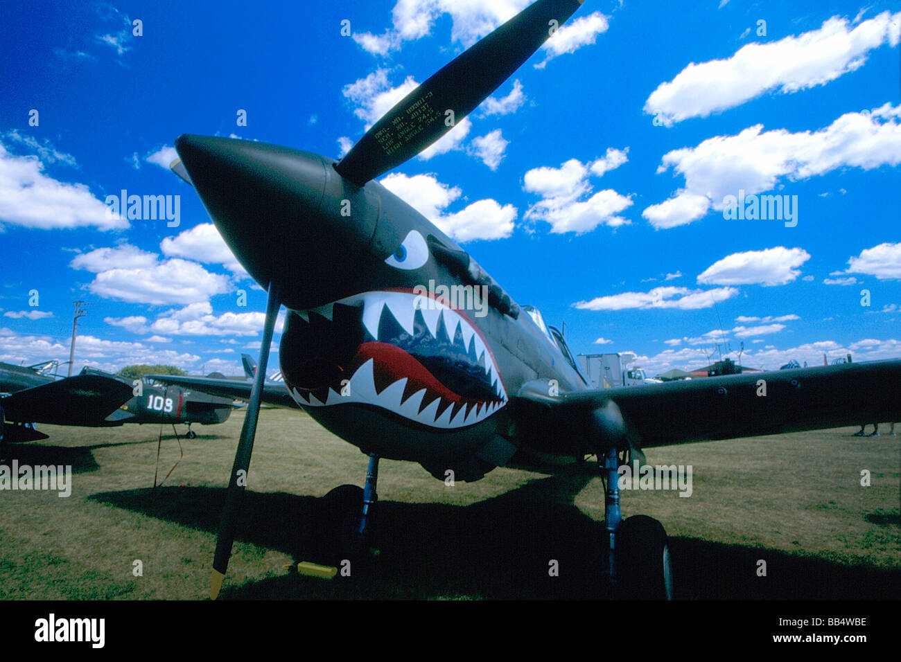 Curtiss P-40 Warhawk on the ground Stock Photo - Alamy