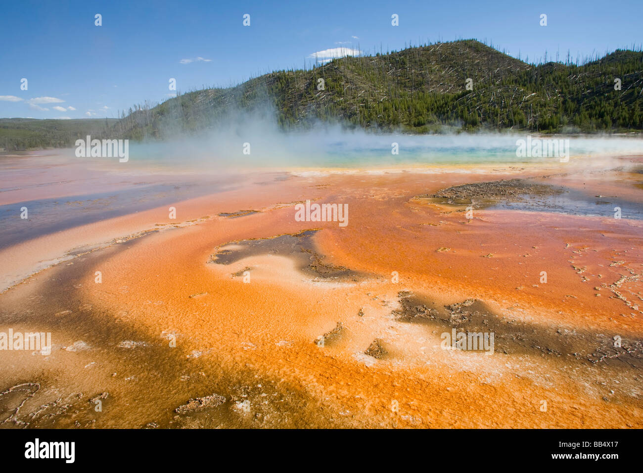 WY, Yellowstone National Park, Midway Geyser Basin, Grand Prismatic Spring, colorful bacterial mats Stock Photo
