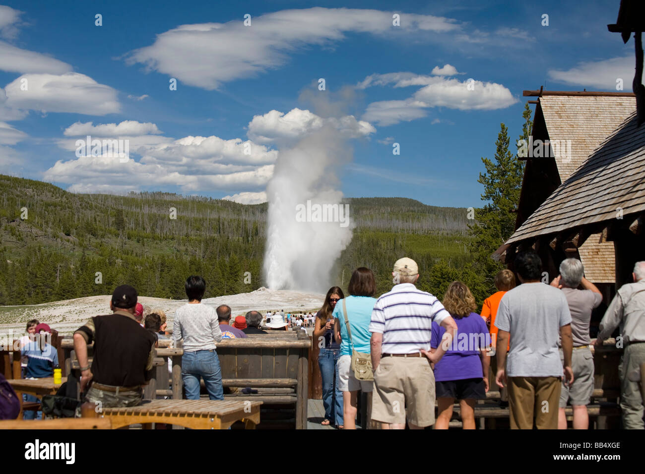 The Unseen Predator: Why Yellowstone’s Wildness Continues to Claim the Unwary