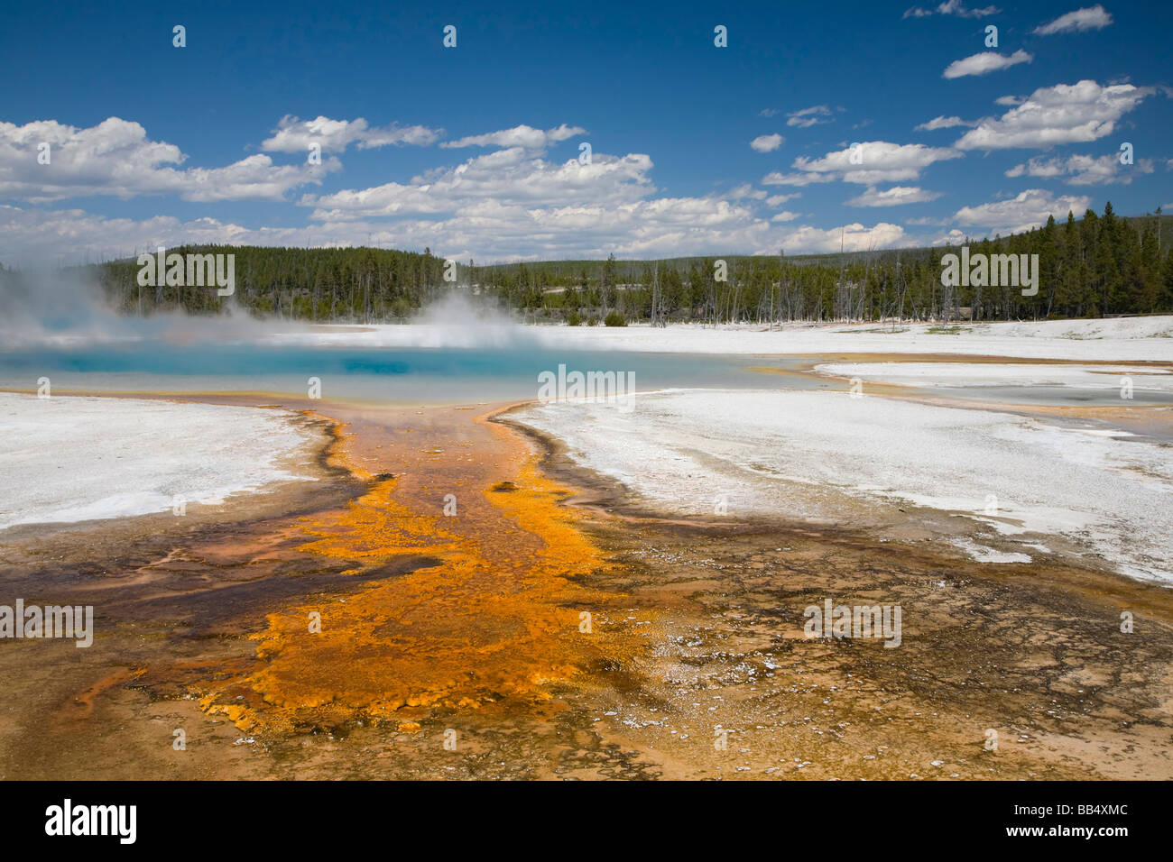 WY, Yellowstone National Park, Black Sand Basin, Rainbow Pool, and colorful bacterial mat Stock Photo