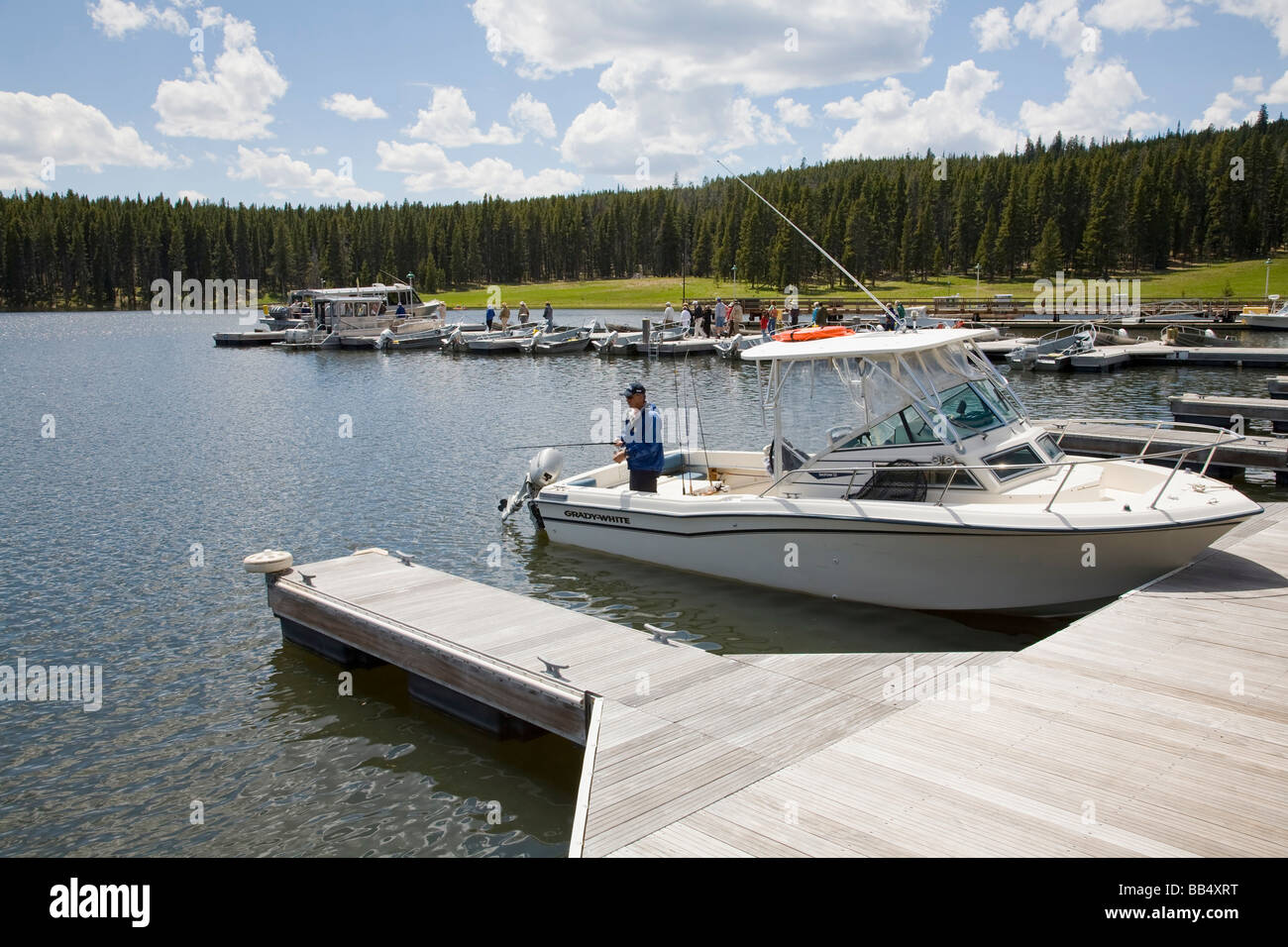 The Unseen Predator: Why Yellowstone's Wildness Continues to Claim the Unwary