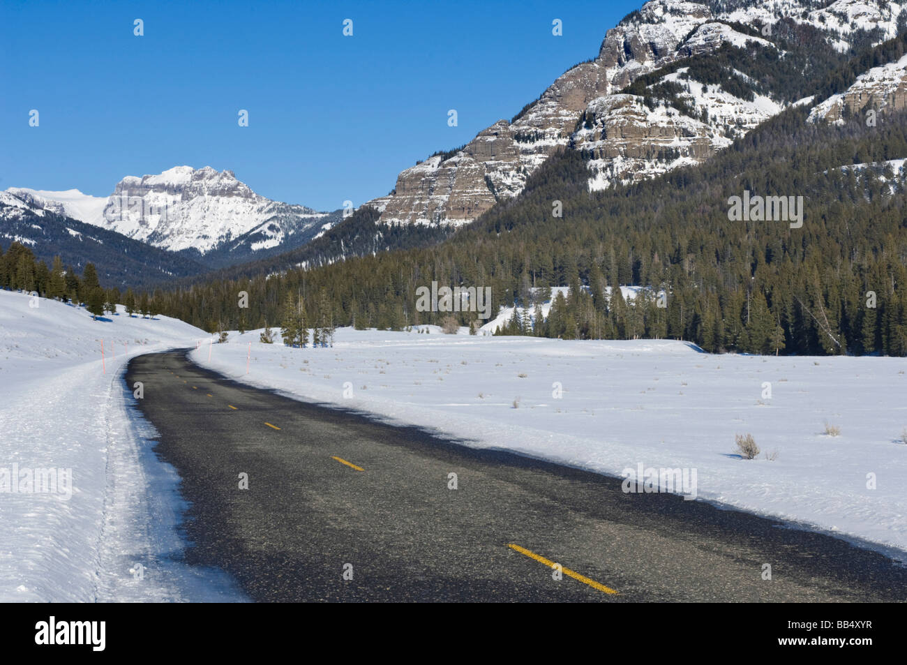 Lamar Valley Yellowstone NP WY - Lamar Valley Yellowstone Np Wy Usa BB4XYR 