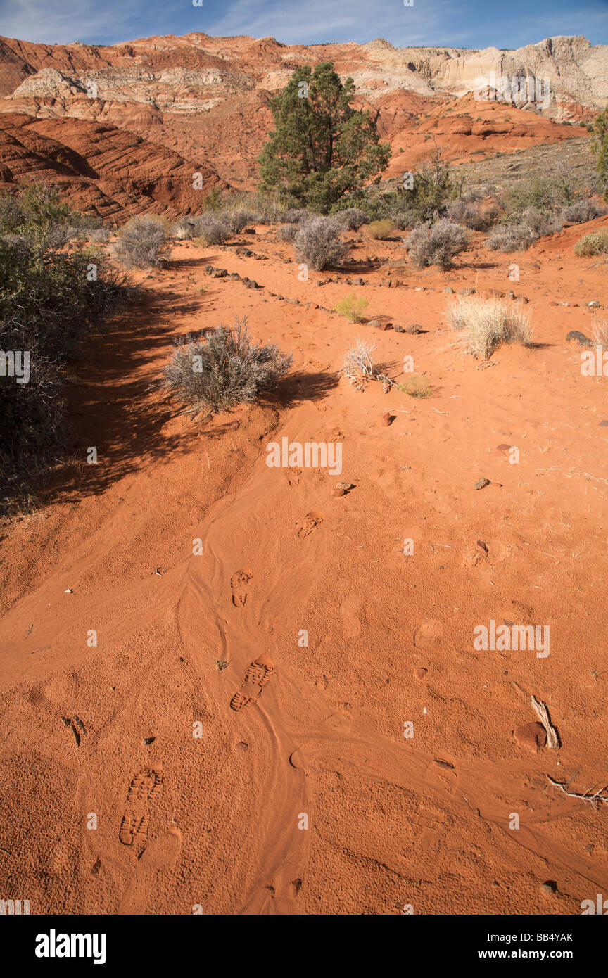 Footprints in desert sand Snow Canyon State Park Utah Stock Photo Alamy
