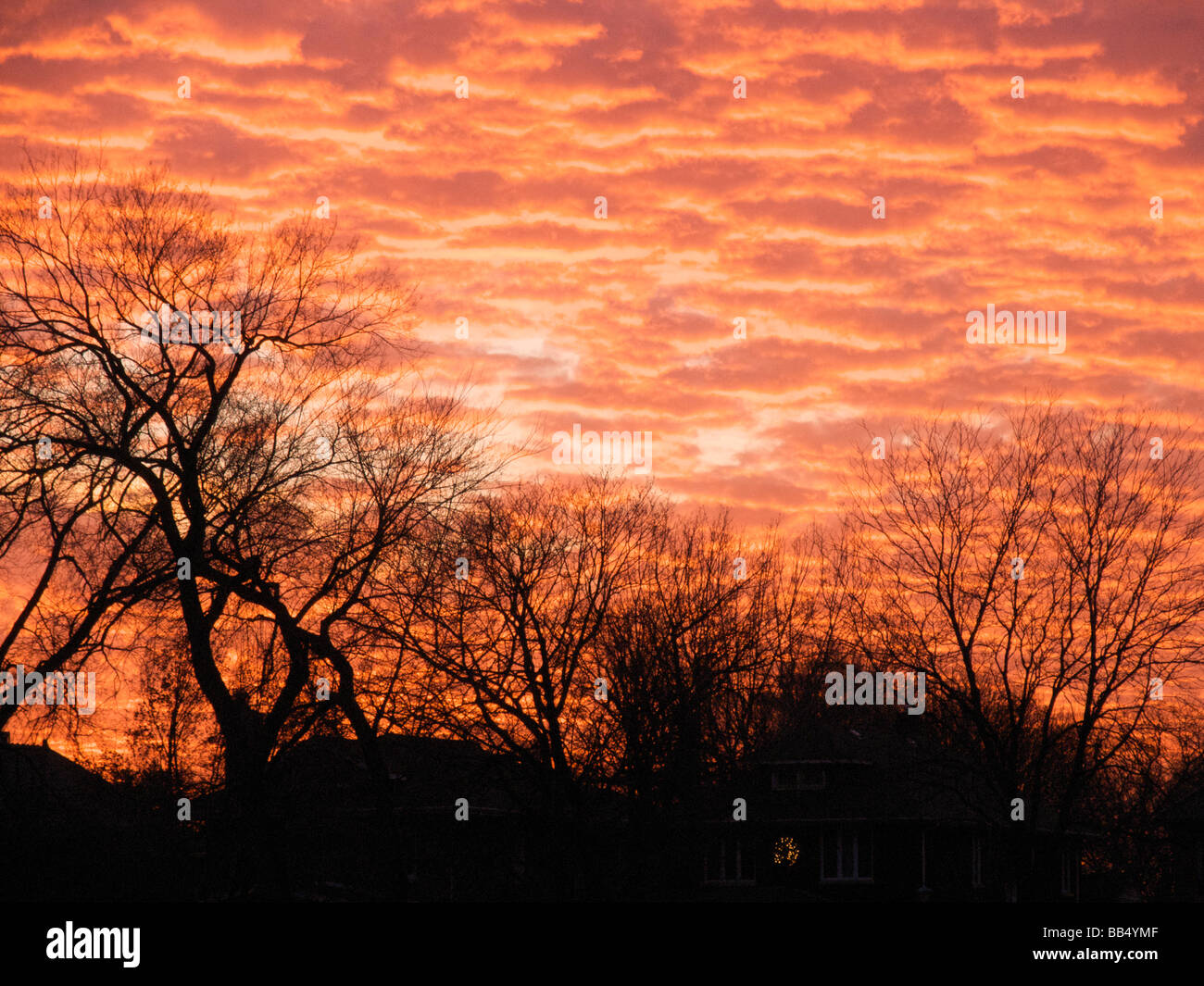 Altocumulus clouds at sunset Stock Photo - Alamy
