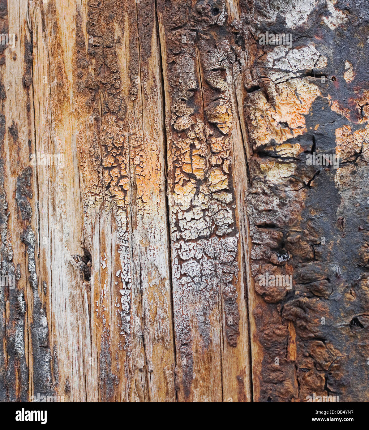 detail of telephone pole Stock Photo Alamy